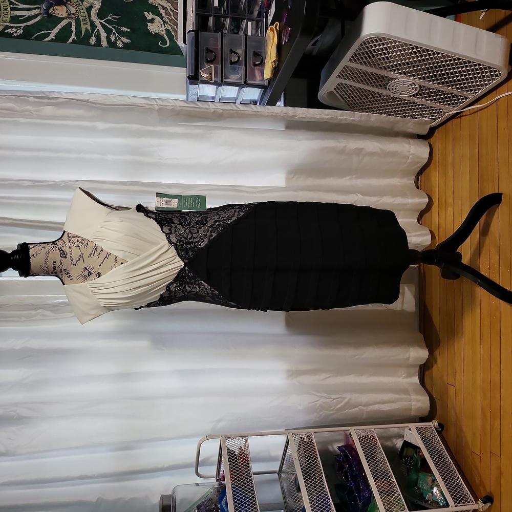NWT Black and White Dress Size 12